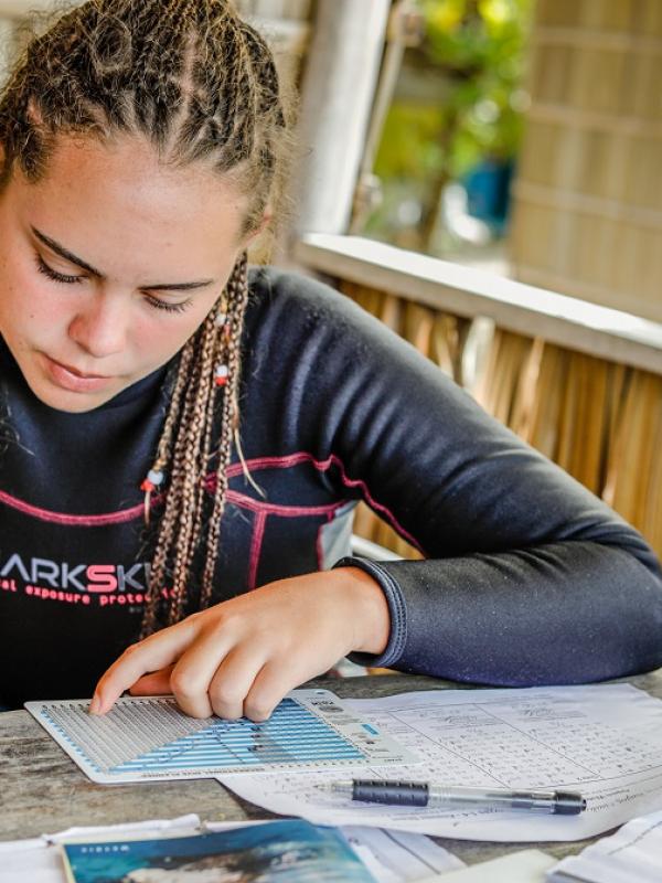 Learn the RDP for dive training